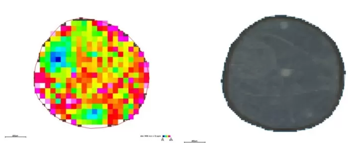 Spatial distribution and segmentation maps at 100μm